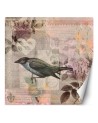 Stylish wall murals - Bird on pink background Andrea Haase | FEEBY