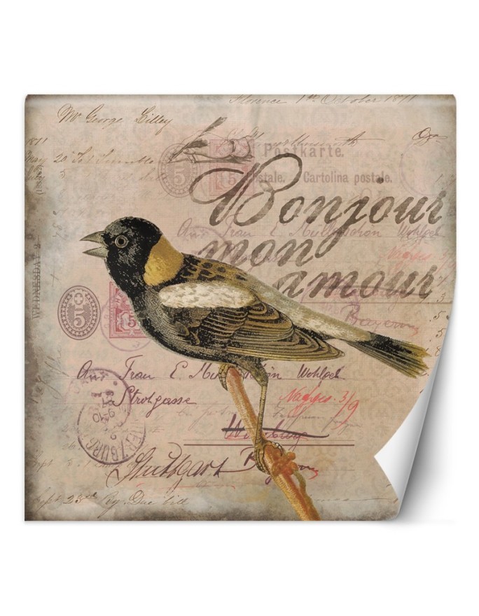 Most fashionable wall murals - Beige background bird animals Andrea Haase | FEEBY