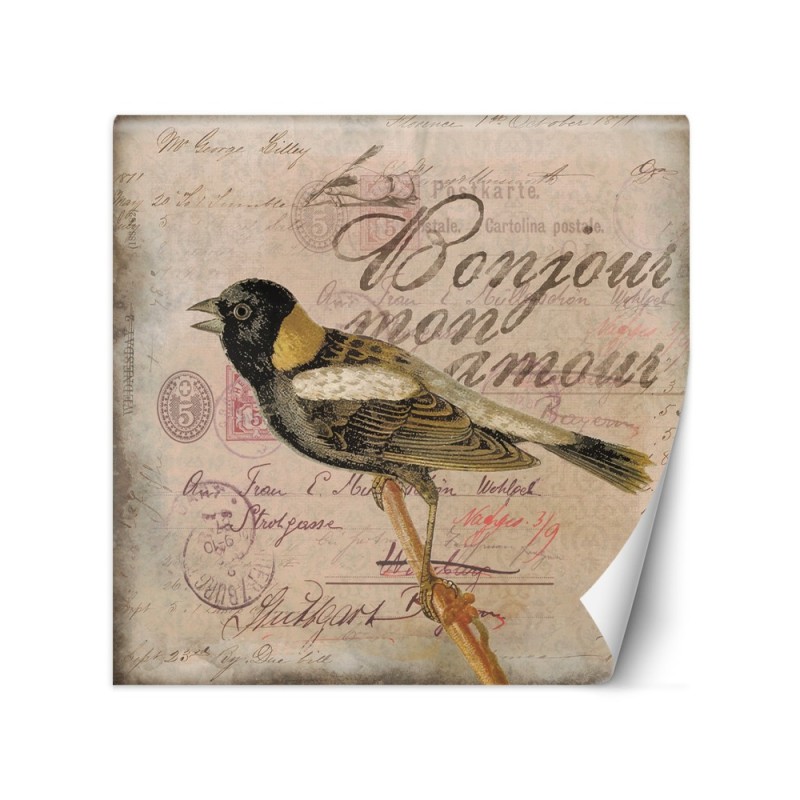 Most fashionable wall murals - Beige background bird animals Andrea Haase | FEEBY
