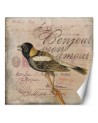 Most fashionable wall murals - Beige background bird animals Andrea Haase | FEEBY