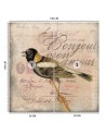 Most fashionable wall murals - Beige background bird animals Andrea Haase | FEEBY