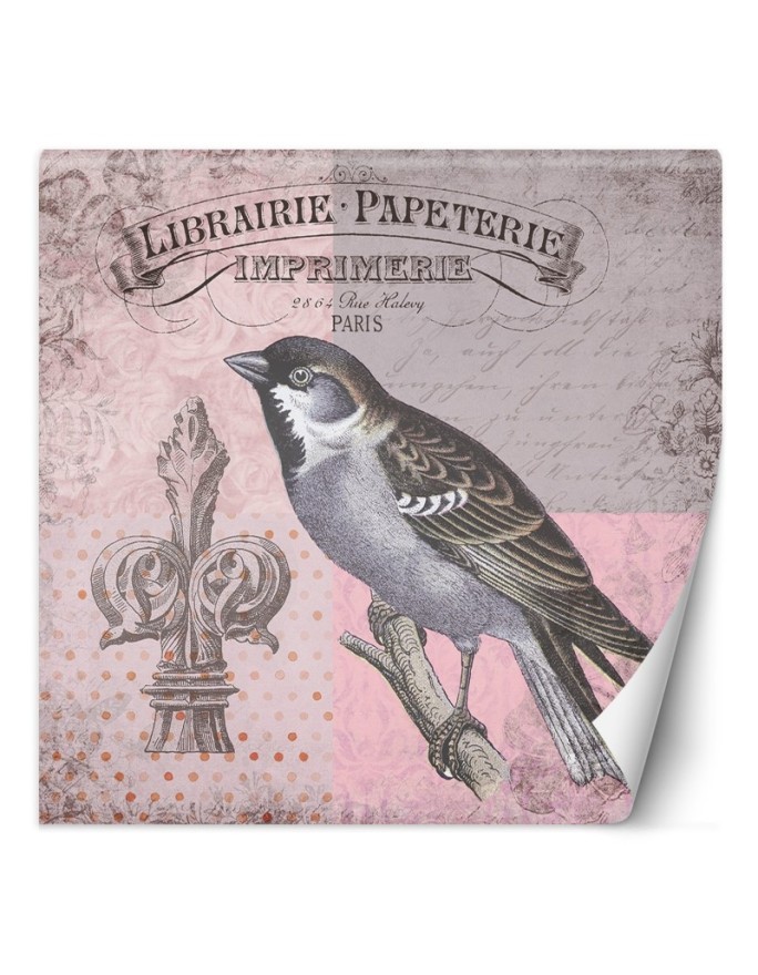 Modern wall murals - Nature bird on pink background Andrea Haase | FEEBY
