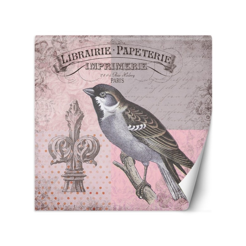 Modern wall murals - Nature bird on pink background Andrea Haase | FEEBY