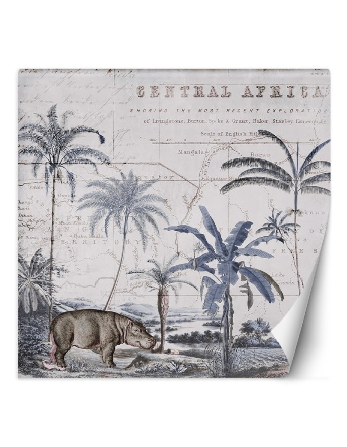 Exclusive wall murals - Hippopotamus tropical animals Andrea Haase | FEEBY