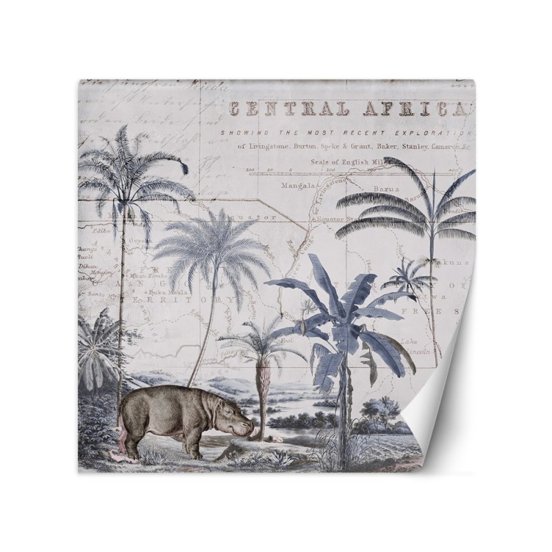 Exclusive wall murals - Hippopotamus tropical animals Andrea Haase | FEEBY