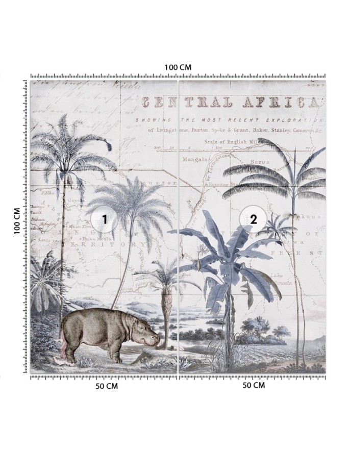 Exclusive wall murals - Hippopotamus tropical animals Andrea Haase | FEEBY