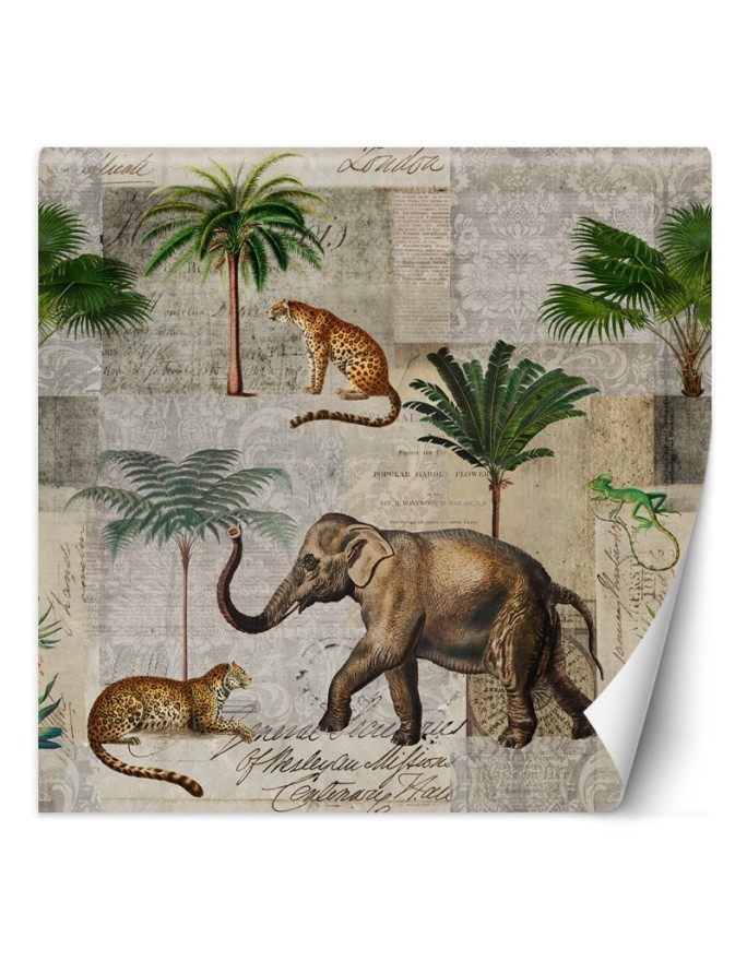 Unique Wallpapers - Elephant animals palm trees nature Andrea Haase | FEEBY