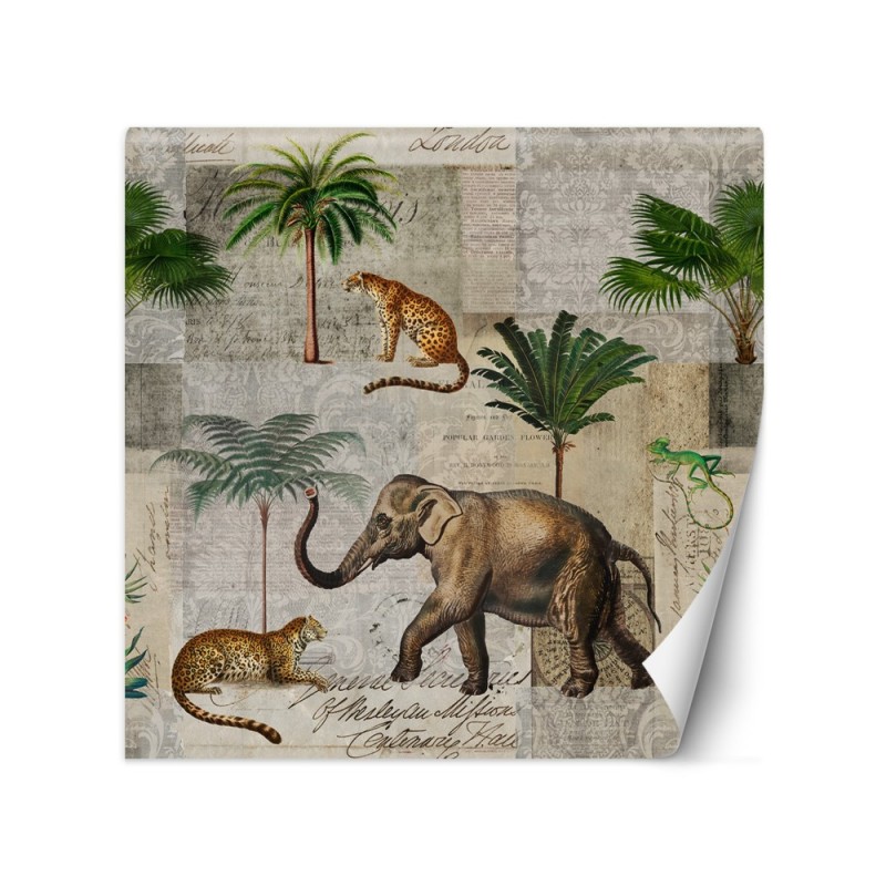 Unique Wallpapers - Elephant animals palm trees nature Andrea Haase | FEEBY