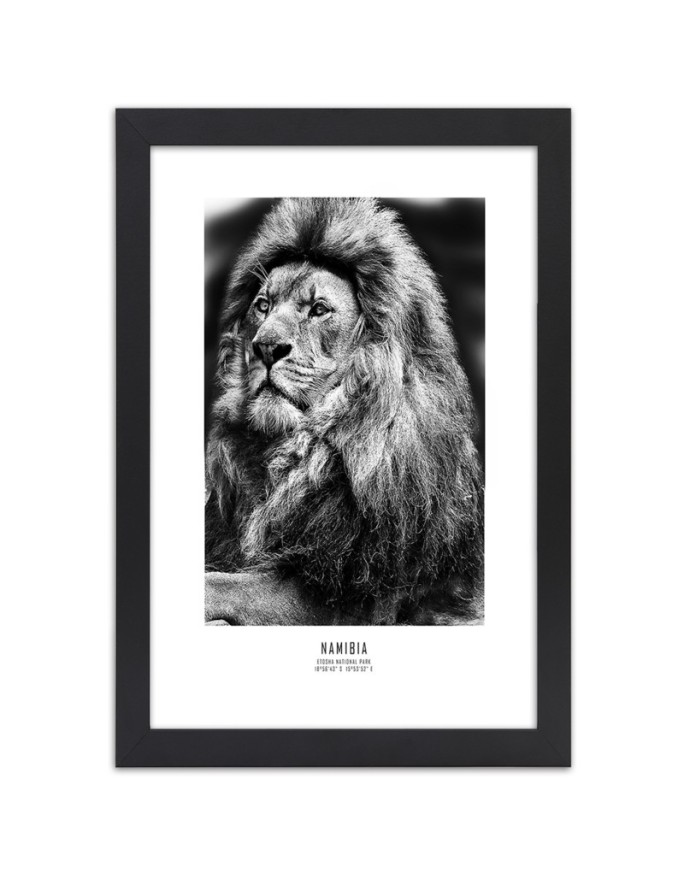 Poster Lion symbol of Africa