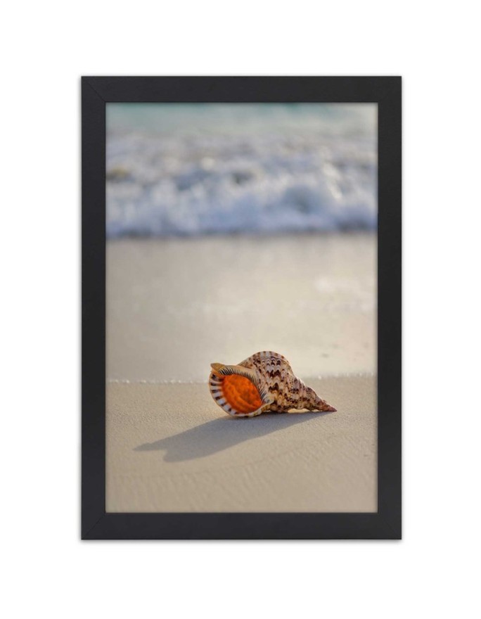 Poster Shell on the beach