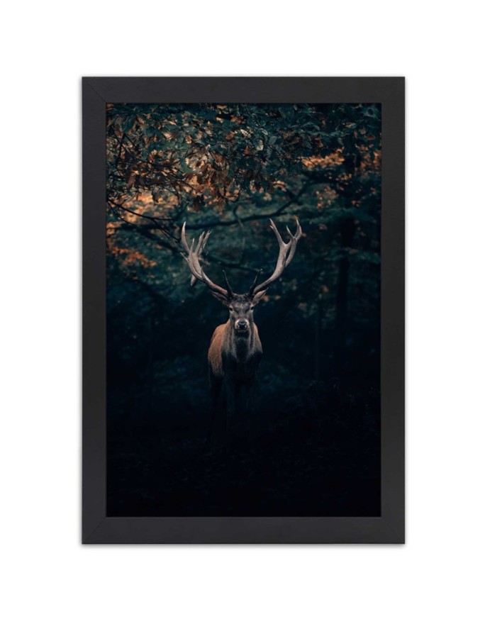 Poster Deer in the forest