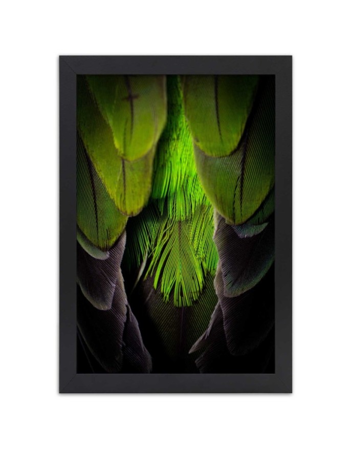 Poster Green feathers