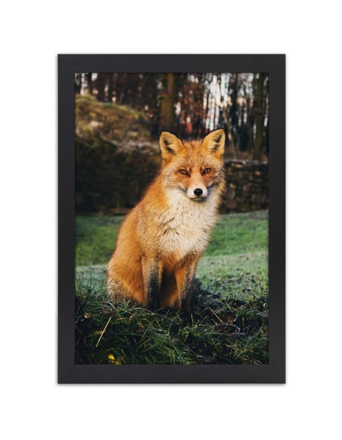 Poster Fox in the forest