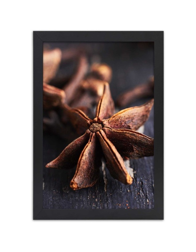 Poster Anise spices