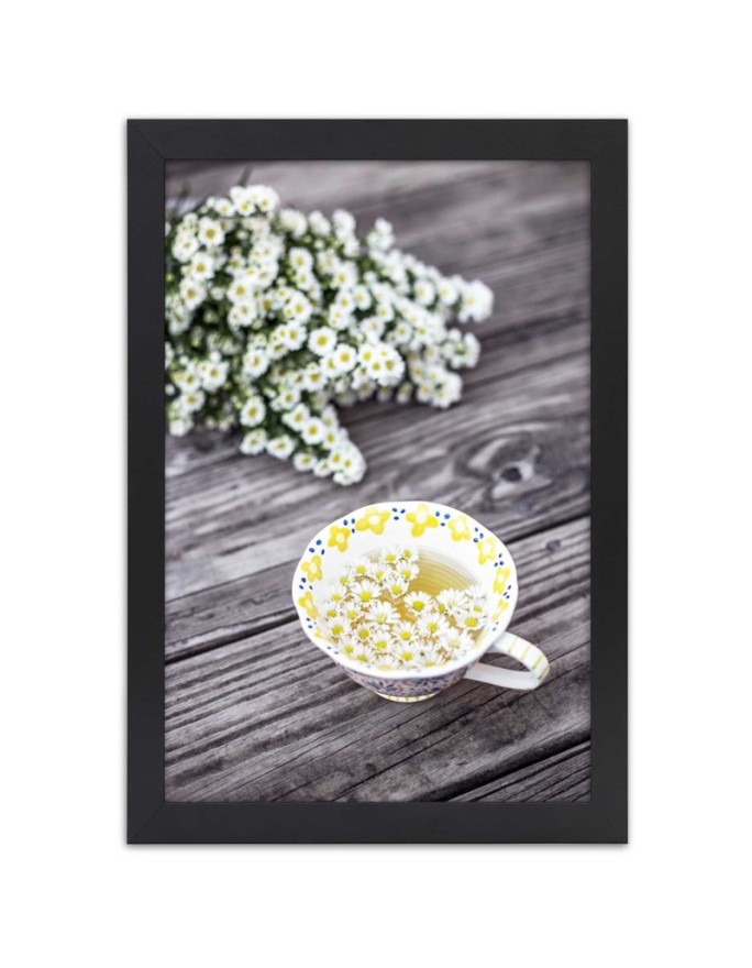 Poster Chamomile herbs
