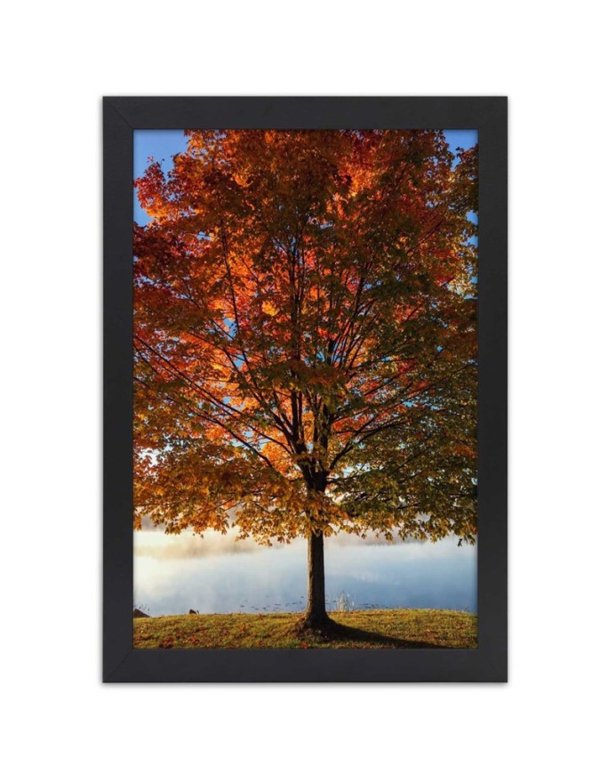 Poster Autumn tree landscape