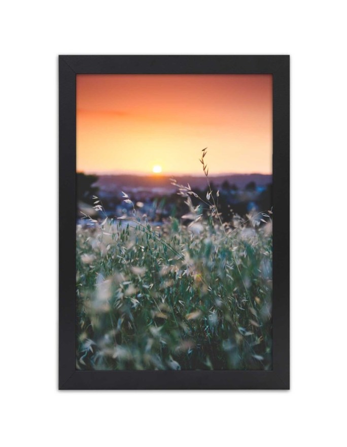 Poster Meadow and sunset