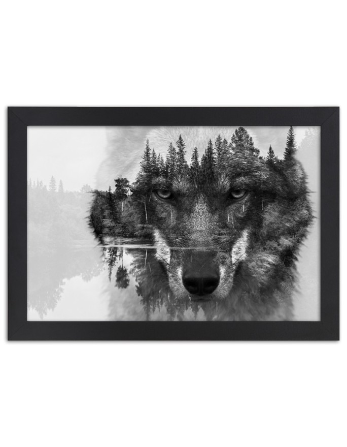 Poster Black wolf in the fog