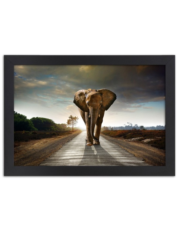 Poster Elephant on the road