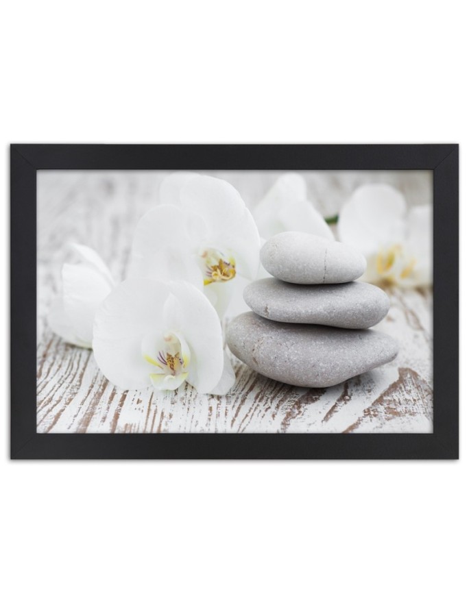 Poster White orchid and stones