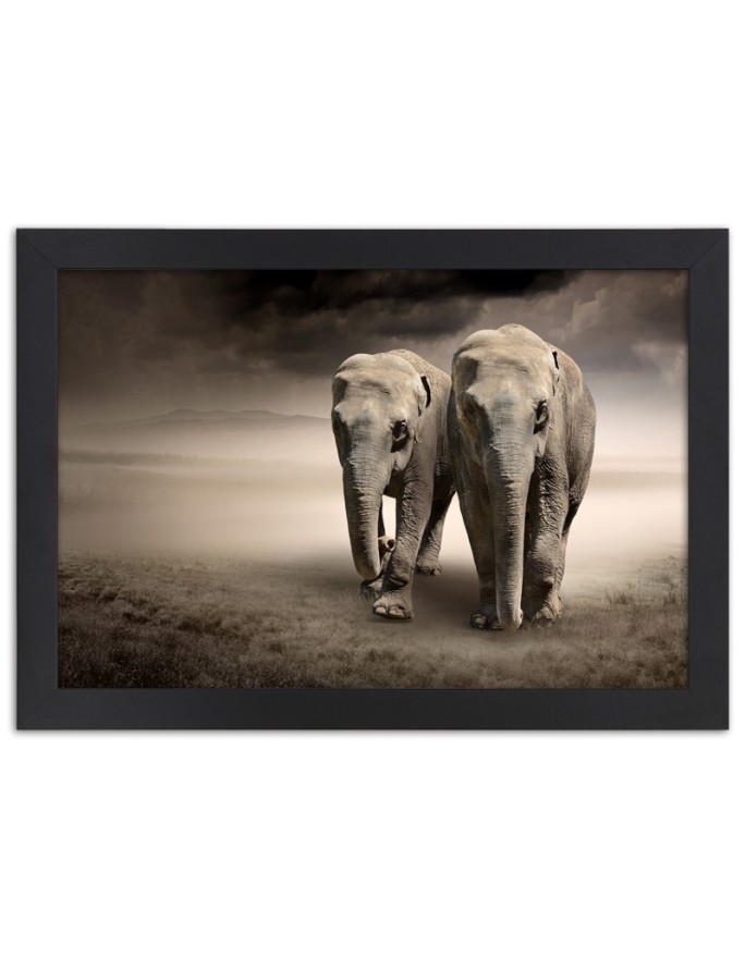 Poster Elephants in the desert