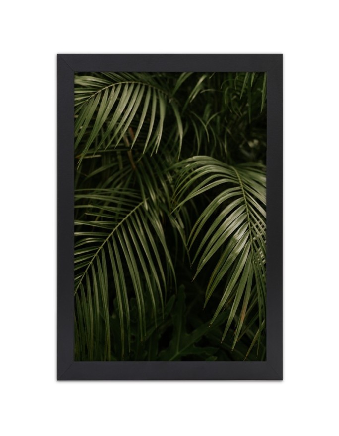 Poster Green palm leaves