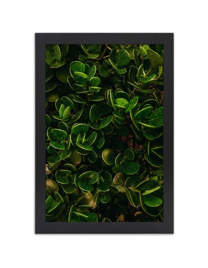 Poster Green exotic leaves...