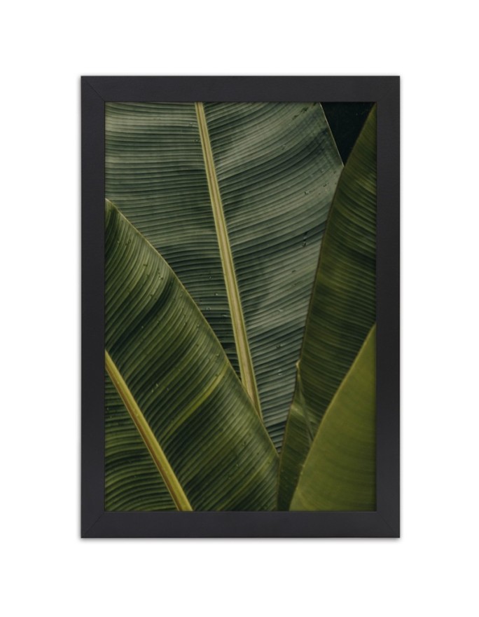 Poster Tropical banana leaves