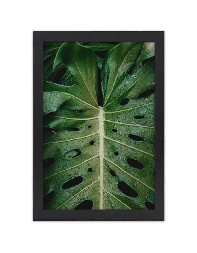 Poster Tropical monstera