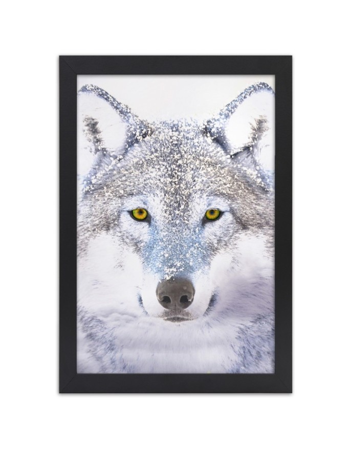 Poster White wolf in the snow