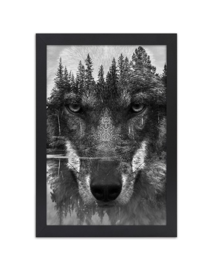 Poster Black wolf in the fog