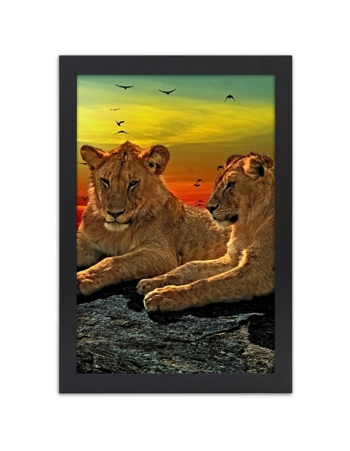 Poster Lions on the savannah