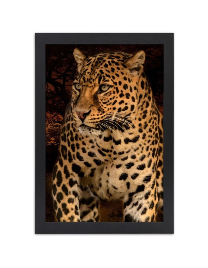 Poster Leopard on black...