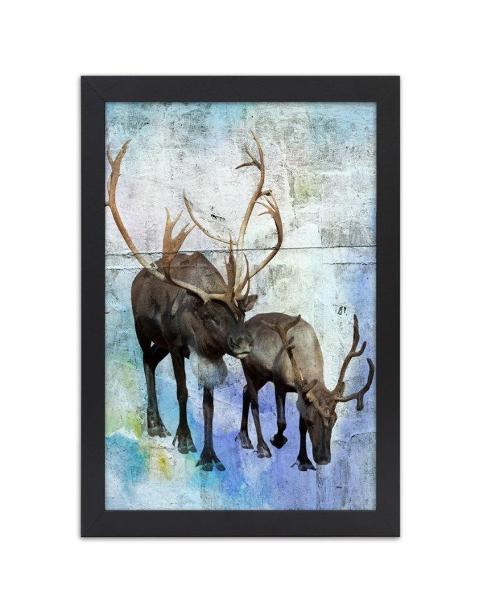 Poster Deer and reindeer in...