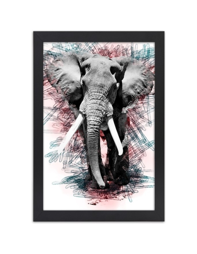Poster Elephant on an...