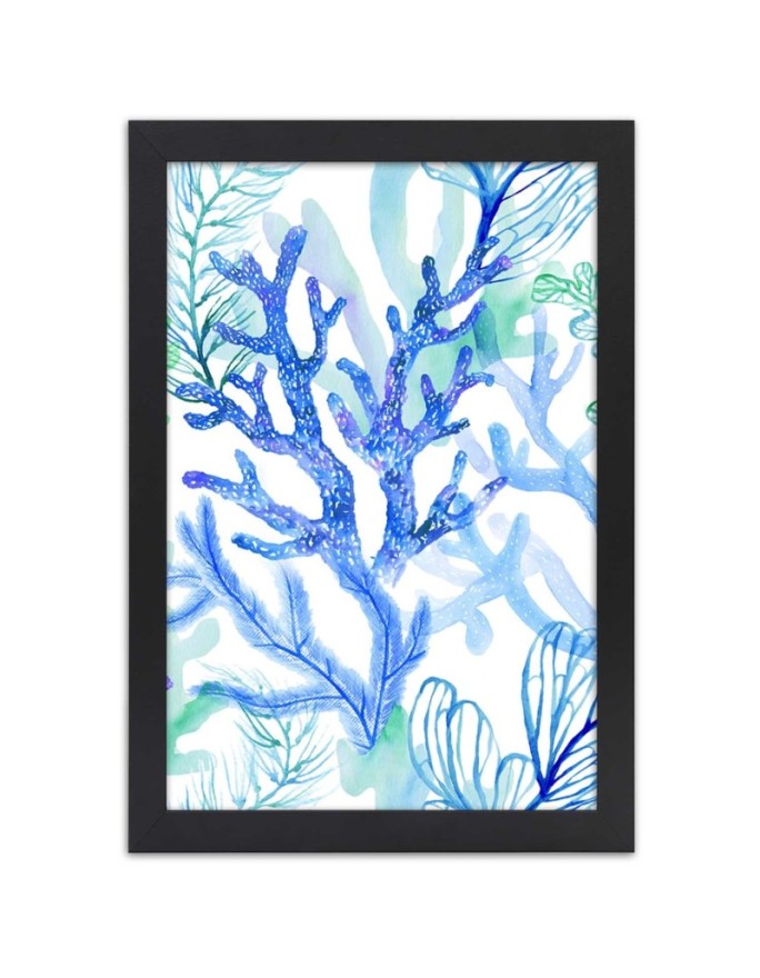 Poster Sea plants and corals