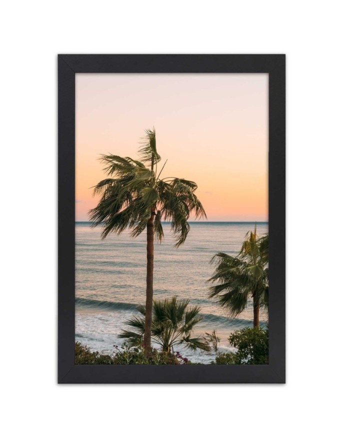 Poster palm trees sunset