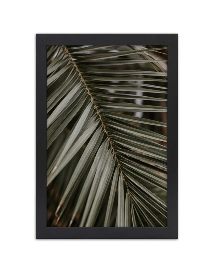 Poster Tropical palm leaf