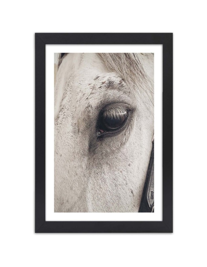 Poster Eye of a horse macro