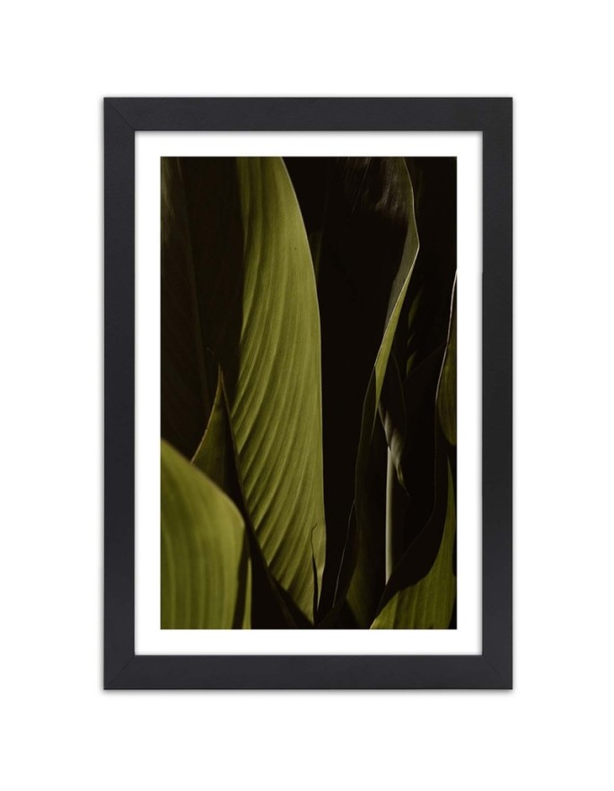 Poster Green tropical leaves