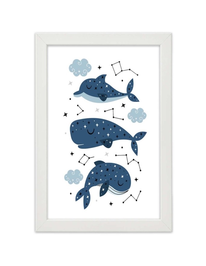 Poster Happy whales
