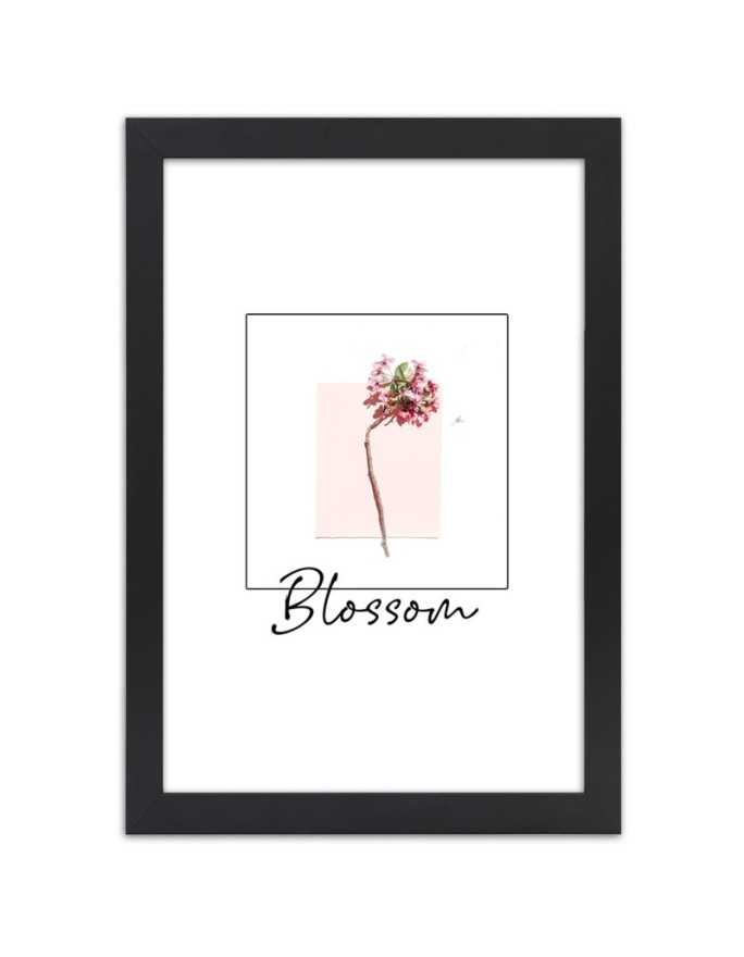 Poster Blossoming flower
