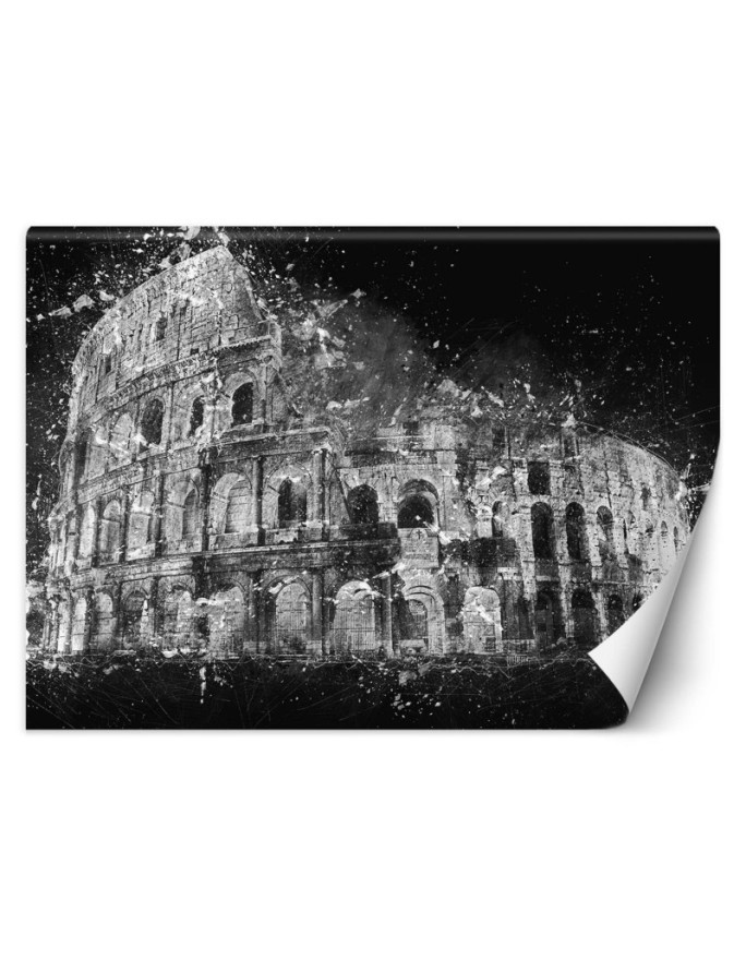 Wallpaper for living room - Colosseum b&w Cornel Vlad | FEEBY
