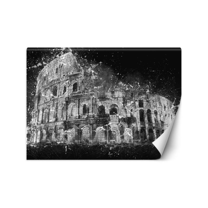 Wallpaper for living room - Colosseum b&w Cornel Vlad | FEEBY