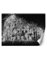 Wallpaper for living room - Colosseum b&w Cornel Vlad | FEEBY