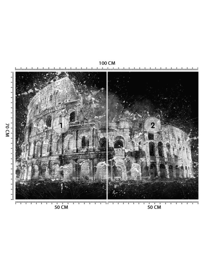 Wallpaper for living room - Colosseum b&w Cornel Vlad | FEEBY