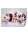 Trendy Wallpaper - Doggie fayre Cornel Vlad | FEEBY