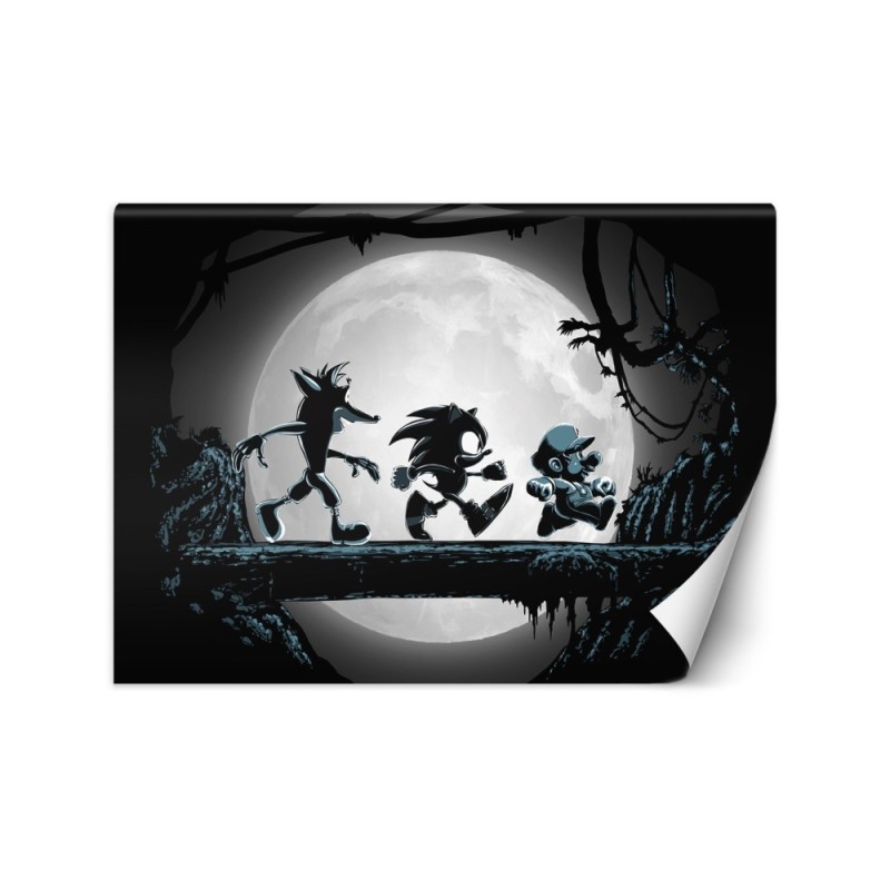 Photo wallpaper for teenagers - Game characters DDJVigo | FEEBY