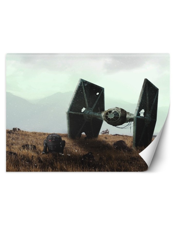 Modern wall murals - Stranded on Earth Zehem Chong | FEEBY