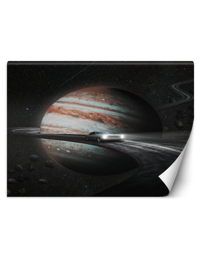 Unique wall murals - Cosmos Abstraction Zehem Chong | FEEBY